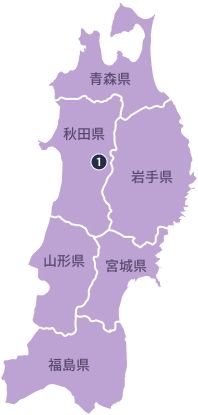 東北エリア