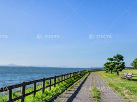 天王崎公園