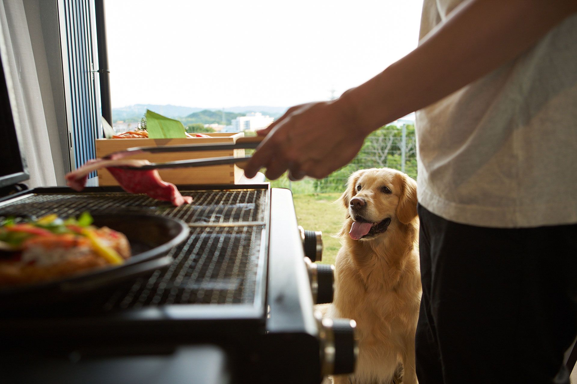 愛犬と一緒に食事