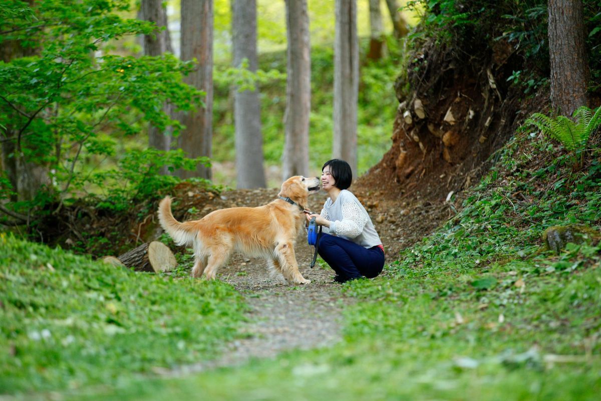 <p><span><strong>愛犬のストレスをためない全長700mのお散歩環境</strong></span></p>