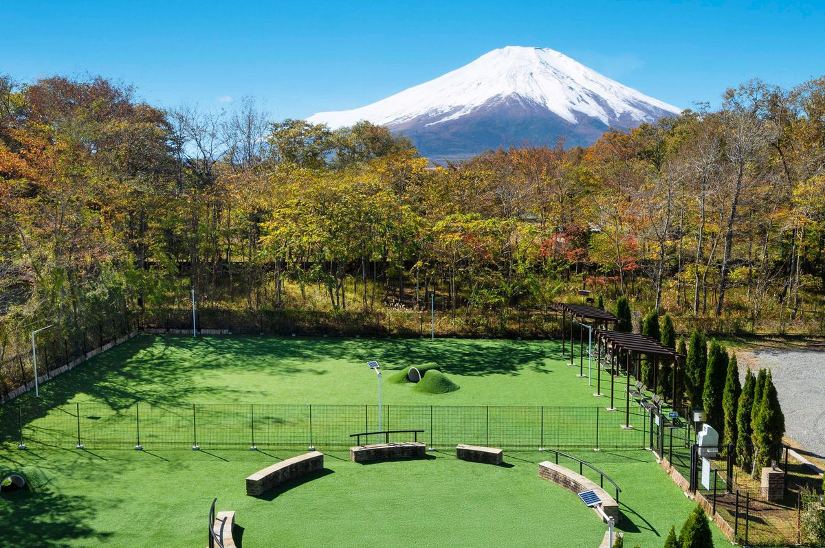 一個面積約 800 平方米的寬敞“ DOG PARK”。