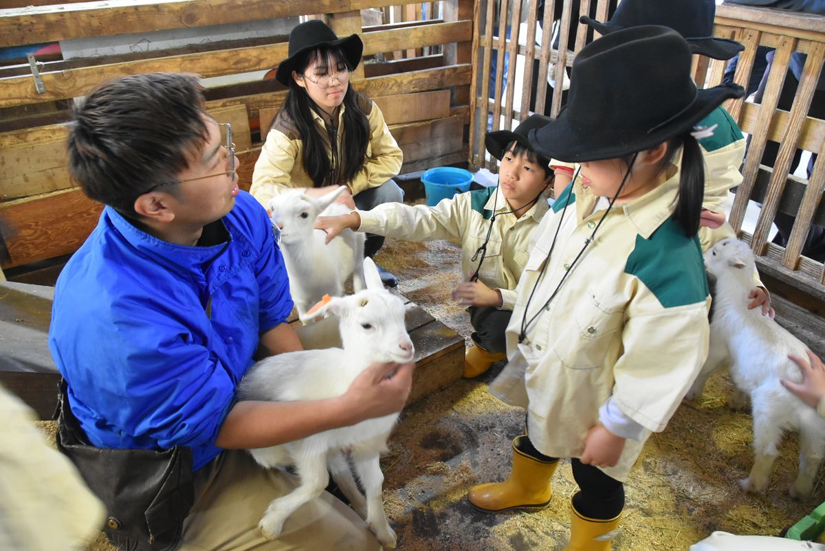 牧場「兒童農場」