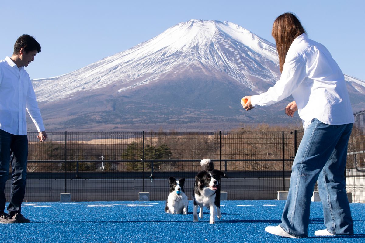 一個擁有藍色草坪的“ DOG PARK”，可以欣賞到富士山和山中湖的全景。