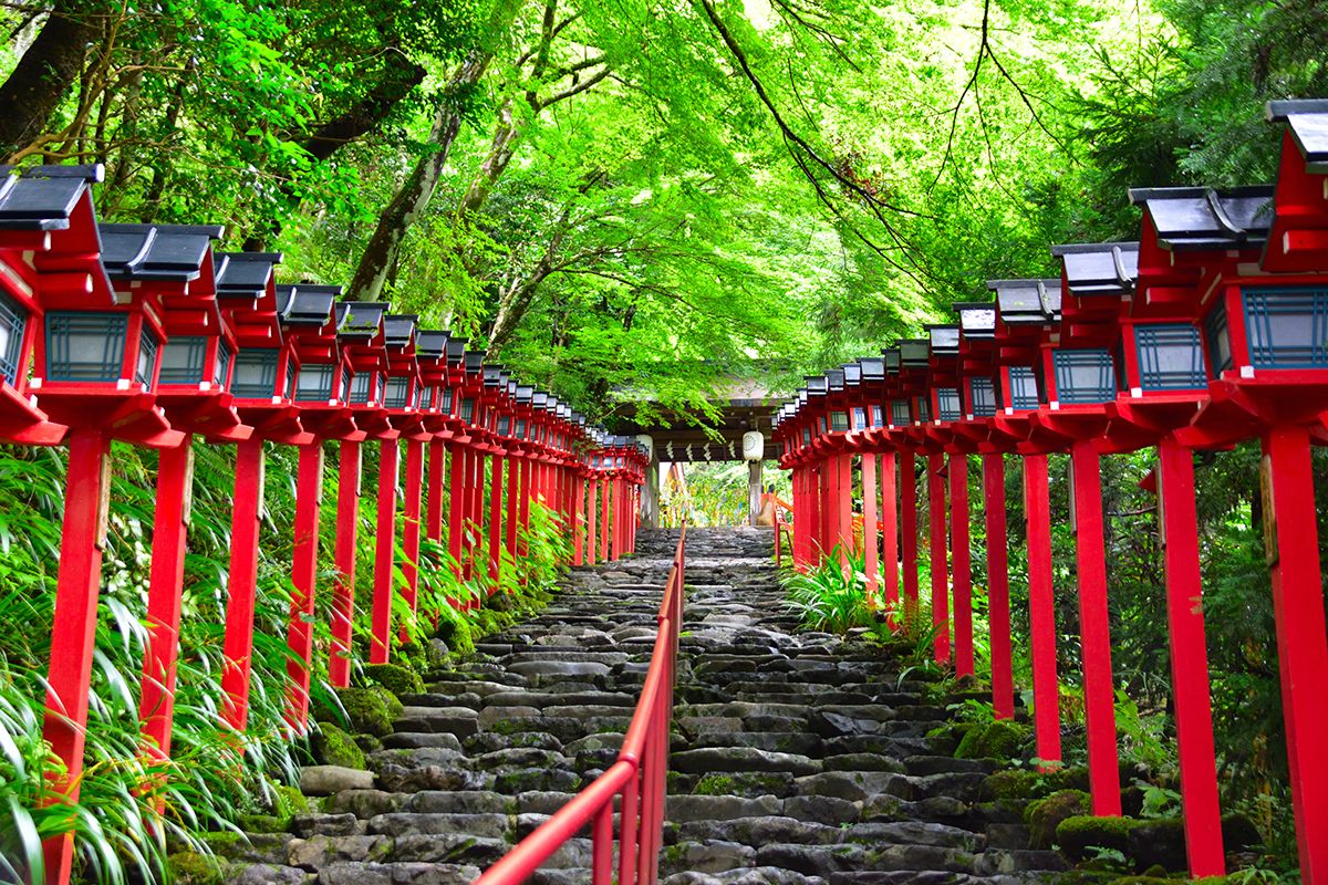 本宮へ続く石段に並ぶ灯篭