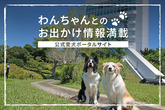 Official dog portal site packed with information on outings with your dog