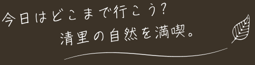 今日はどこまで行こう? 清里の自然を満喫。