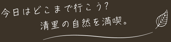 今日はどこまで行こう? 清里の自然を満喫。