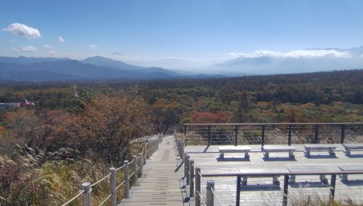 美し森展望台