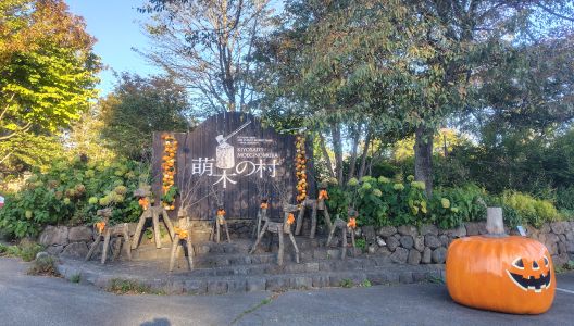 萌木の村