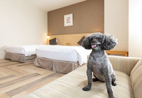 亀の井ホテル 知多美浜
