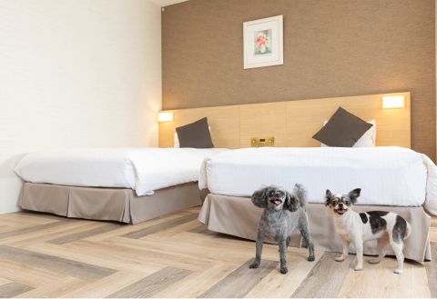 KAMENOI HOTEL CHITAMIHAMA