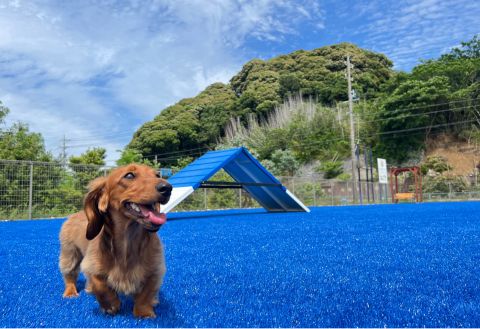 Wanwan Paradise Lake Hamana