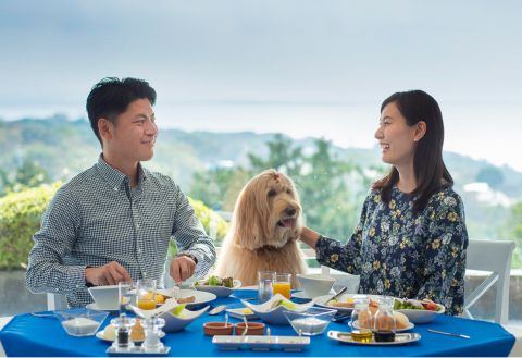 Wanwan Paradise Premier Izukogen