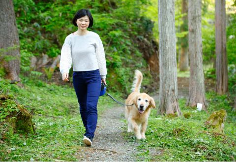 Wanwan Paradise Takayama