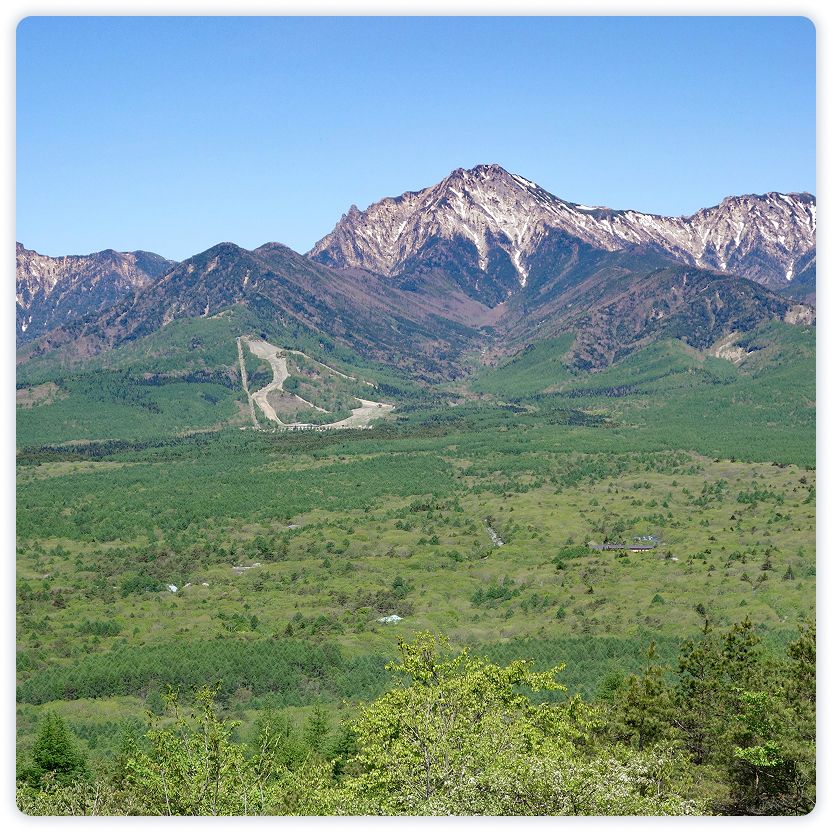 八ヶ岳エリアの魅力