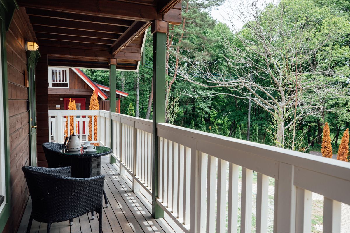 遊びに来る鳥や動物が見えることも